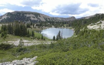 Uinta-Wasatch-Cache National Forest: Your Outdoor Adventure Awaits