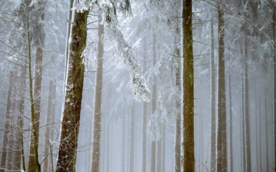 Snow Utv | Adventure Awaits: Powersports In {Location} Get Ready…