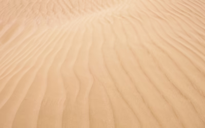 Sand Dune Rental Deals At Dunes | Get Your ATV…
