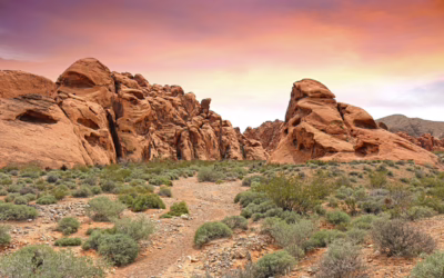 Guided UTV Tours In Nevada ~ Unleash Your Inner Adventurer:…