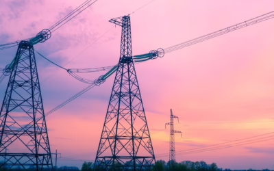 Renting SXS With Snow Tracks For Utility Infrastructure Maintenance /…