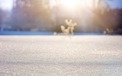 SXS With Snow Tracks Rental Deals For Utility Companies: Hit…