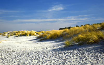 Sand Dune Hire | Get Your Engines Revving: Powersports In…