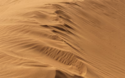 Short-Tail Keywords For Sand Dune UTV Rentals | Dune Riding…