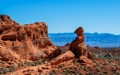 Las Vegas Off Road Rentals | Get Your Engines Revving:…