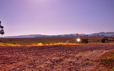 Rent Quad – Get Your Engines Revving: Quad Adventures In…