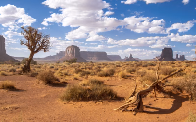 Renting Snowmobiles In Utah: Unleash Your Inner Adventurer: Powersports In…