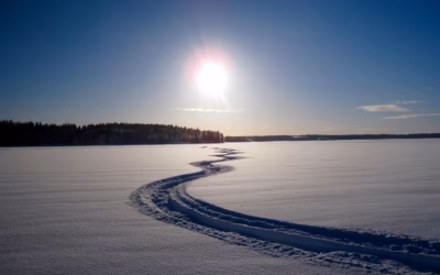 Vail Snowmobile Rentals » Hit The Gas! Your Guide To…