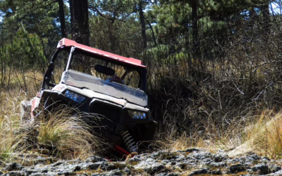 Where Can I Rent 2019 Rzr Xp 4 Turbo Specs:…