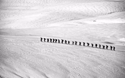 Renting SXS With Snow Tracks For Utility Line Repair In…