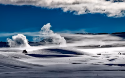 Renting UTVs With Snow Tracks For Snowy Terrains » Adventure…