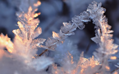 Snow Trail Machines For Winter Fun: Gear Up For Epic…
