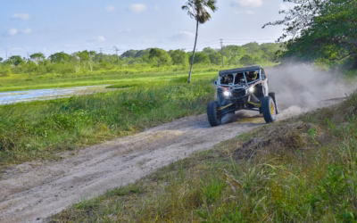 Utility UTV With Snow Tracks Rental Deals – Get Your…