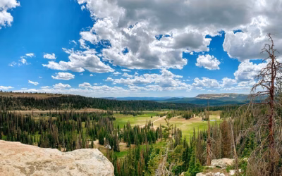 Atv Rental Midway Utah: Gear Up For Adventure: Powersports In…