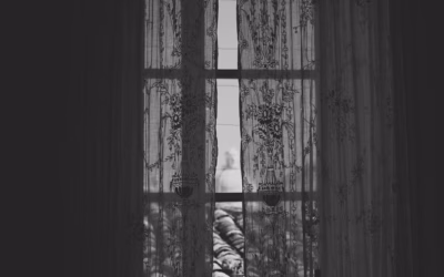Where Can I Rent Rent Side By Side: Louisiana Side-by-Side…