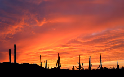 Guided Long-term UTV Tours In Arizona | Gear Up For…