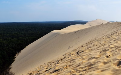 Guided Sand Dune SXS Rentals ~ Get Your Thrill On:…