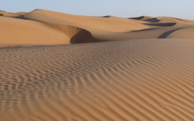 High-performance UTV Rentals For Sand Dunes | Thrill Seekers, Get…