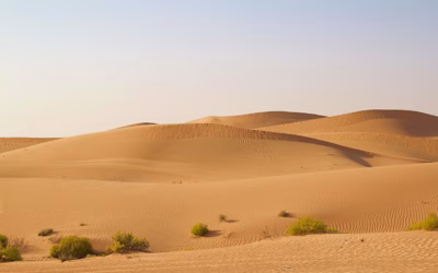 Long-Tail Keywords For Sand Dune UTV Rentals – Gear Up…