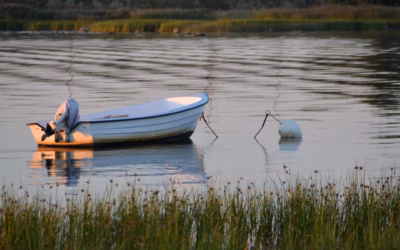 Powerboat Rental Services | Get Your Engines Revving: Powerboat Adventures…