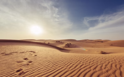 Renting Turbo RZRs For Desert Adventures: Get Your Desert Adventure…