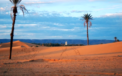 Sand Dune SXS Rental Deals At Dunes | Unleash Your…