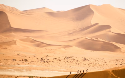Sand Dune SXS Rental Services | Sand Dune Adventures In…