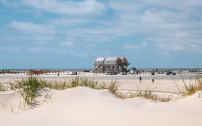 Sand Dune UTV Rentals For Beginners | Gear Up For…