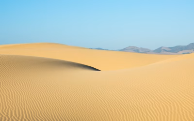 Sand Dune Rental Shops / Get Your Wheels Rolling: Powersports…