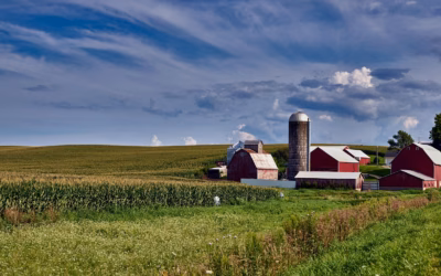 Scenic Rides & Trails – Adventure Awaits: Your Guide To…