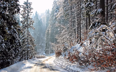 Snowmobile Tours – Thrill Seekers, Start Your Engines: Snowmobiling In…