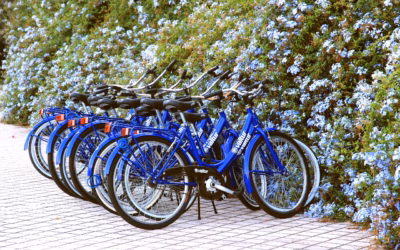 E Foil Rental Near Me / Ride The Wave Of…