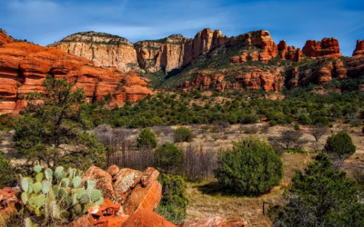 Quad Rentals Arizona » Get Your Adventure On: Powersports In…