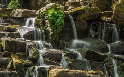 Rent A Ranger / Texas Adventure Awaits: Your Guide To…