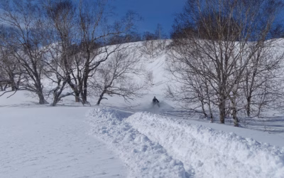 Renting Snowmobiles Near Me | Snowmobiling In Moab: Your Ultimate…