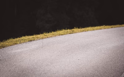 Ride Side By Side ~ Ride The Wild Side: Adventure…