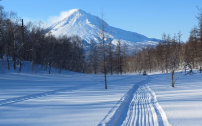 Snowmobile Rental Heber » Hit The Gas! Your Montana Snowmobile…