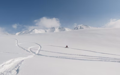 Snowmobile Rentals In Utah – Nevada’s Snow-Covered Playground: Your Ultimate…