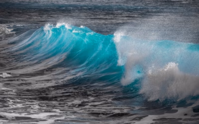 Surf Boat Rental Lake Powell | Hit The Waves: Your…