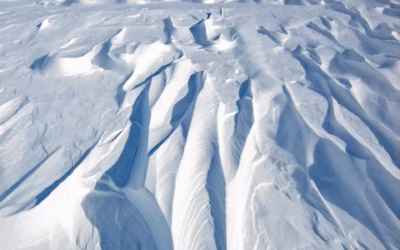 Telluride Snowmobile Rentals | Hit The Trails: Your Guide To…