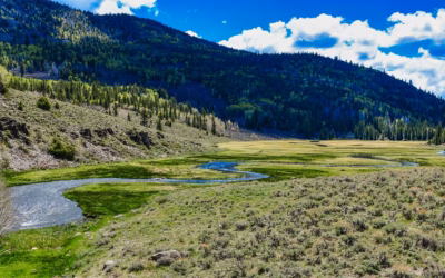 Utah Snowmobiling Packages ~ Get Your Adrenaline Pumping: Powersports Adventures…