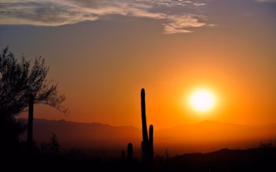 Where Can I Rent Atv Rentals In Arizona: Gear Up…