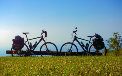 Where Can I Rent Best Power Sports Store Las Vegas…
