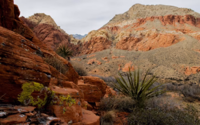 Where Can I Rent Four Wheeler Discounts Las Vegas /…