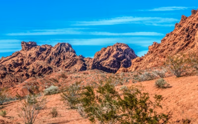 Where Can I Rent Jet Skis Las Vegas: Thrill Seekers,…