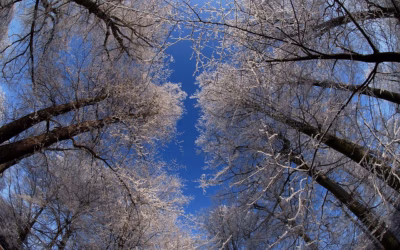 Where Can I Rent Salt Lake City Snowmobile Rental »…