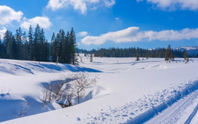 Where Can I Rent Ski Doo Rentals Utah – Utah’s…