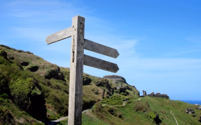 Where Can I Rent Turbo Rent » Gear Up For…