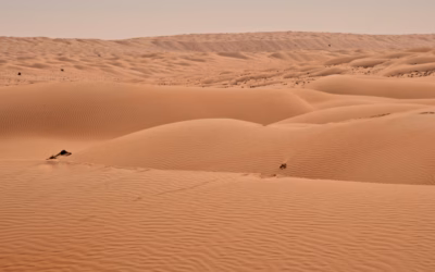 Guided ATV Tours For Desert Adventures / Unleash Your Inner…
