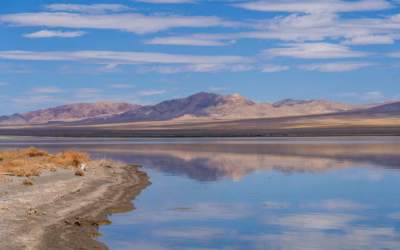 Guided UTV Tours In Nevada | Gear Up For Thrilling…